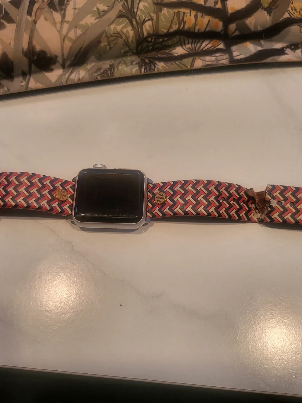 Apple Watch Series 3 38mm Cellular with Tory Burch Sports Band